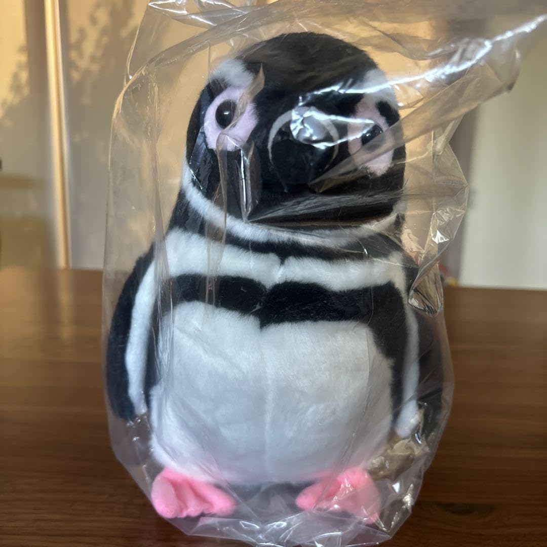 Amazon.co.jp: （お）すみだ水族館 ぬいぐるみ マゼランペンギン