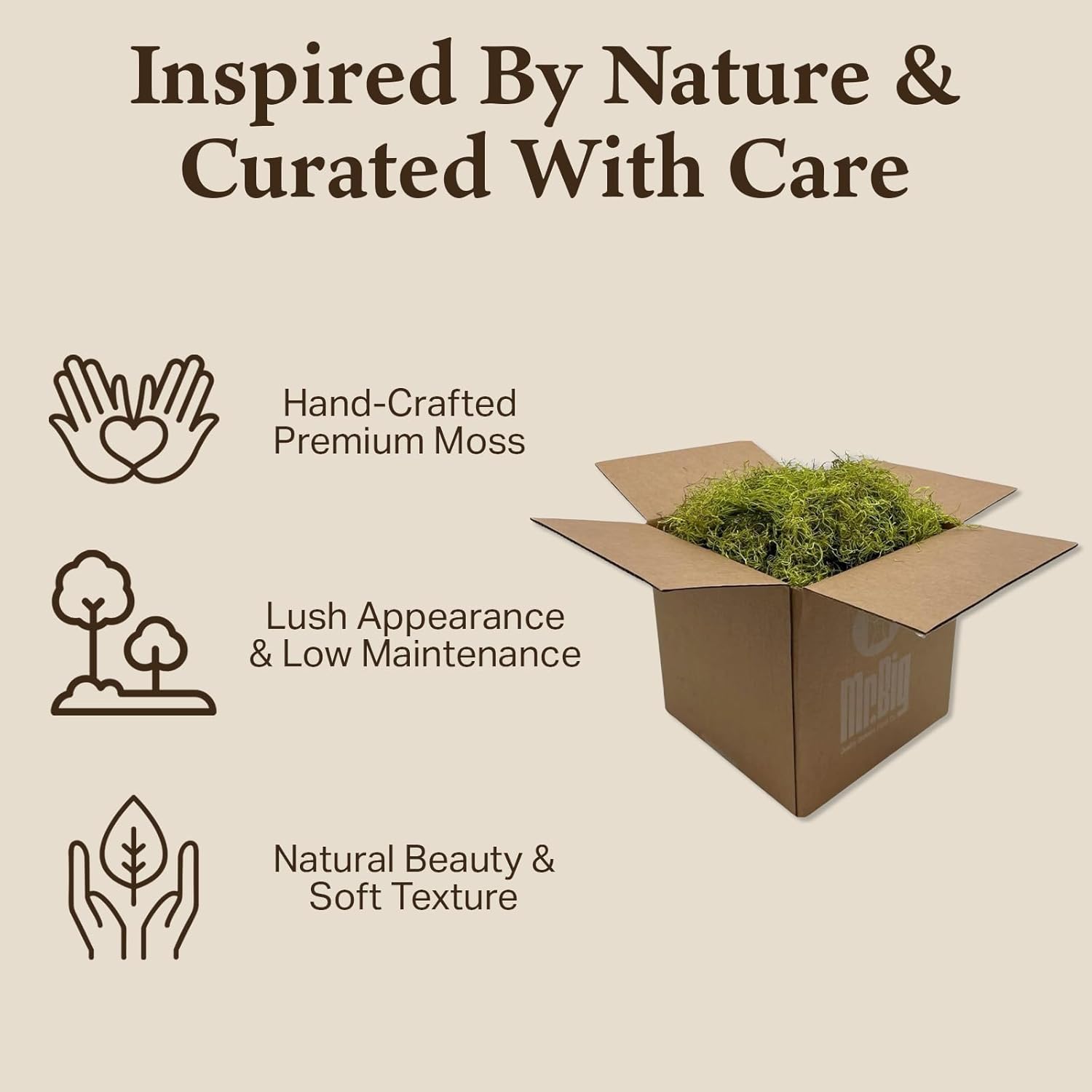 Preserved Spanish Moss - Decorative Dried Moss for Crafts, Home Decor, Art, Design & DIY Projects - for Indoor Use - Chartreuse - Standard Box - Covers 10-12 sq. ft.