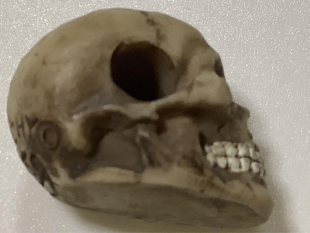 Amazon.co.jp: ANARCHY 骸骨立体ガイコツ スカル 3 Dヘッド