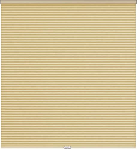 LazBlinds Persianas celulares opacas sin cordón, con bloqueo de luz de abeja, persianas plisadas para ventana de 23 pulgadas de ancho x 64 pulgadas