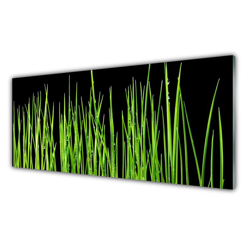 Tableau verre trempé 125x50cm Weed Floral pour mur vide sans éclat
