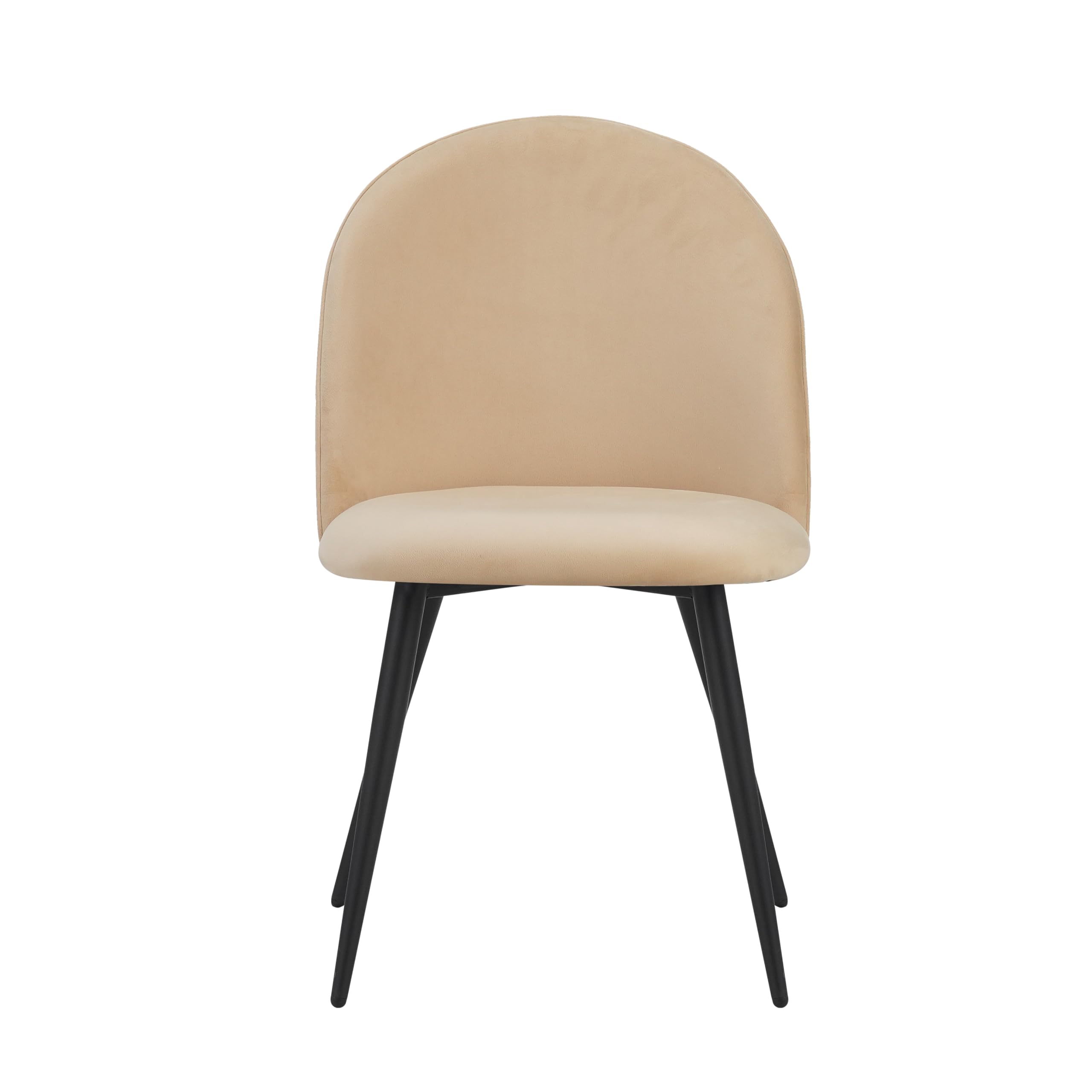 Albatros - Set di 4 sedie da sala da pranzo con rivestimento in velluto, stile vintage, rivestimento in velluto, con imbottitura certificata SGS – moderna sedia da cucina