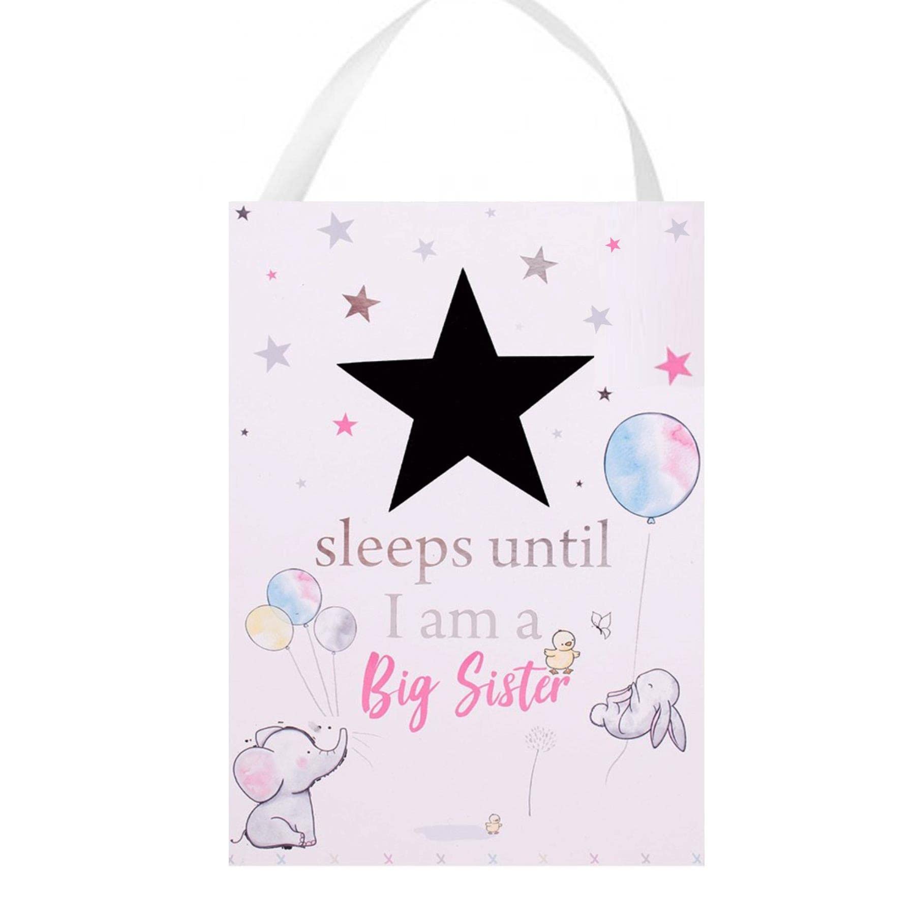 Baby Countdown Hanging Plaque "... Sleeps Until i'm a Big Sister"