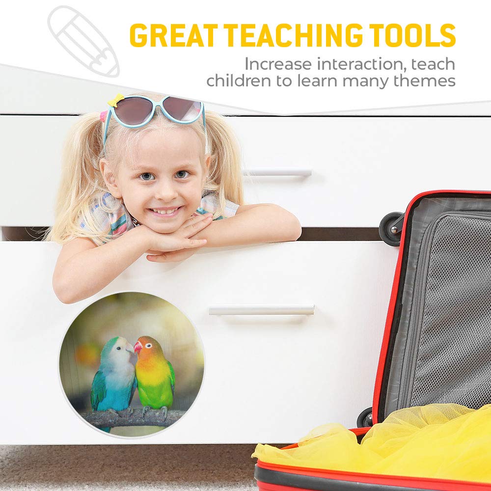 Vinyl-Aufkleber Set – 4 Stück Mit Totenkopf-Falke-Motte Design, Für Laptop, Kühlschrank, Gepäck
