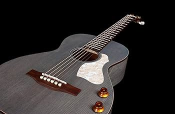Amazon | Art & Lutherie (アートアンドルシアー) エレアコ