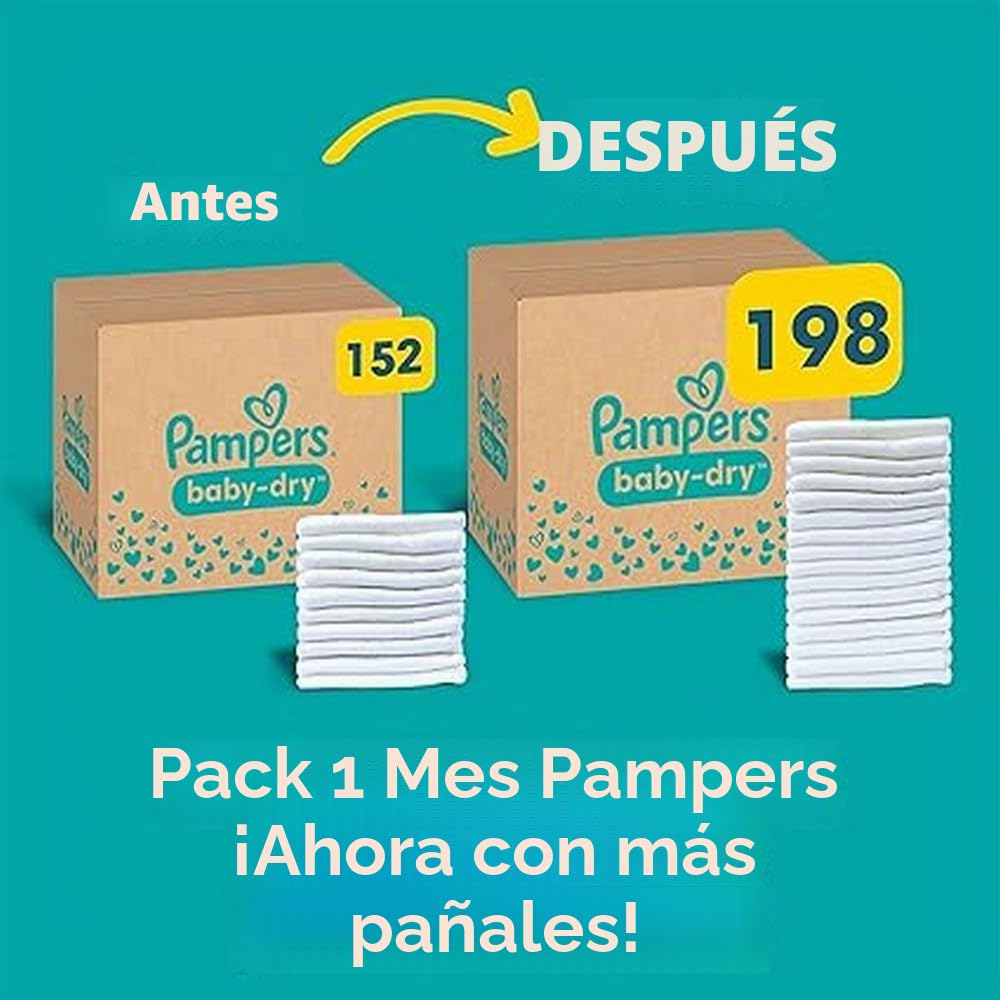 Pampers Pañales tamaño 4+ (10 – 15 kg) Baby Dry, Maxi Plus, caja de meses, hasta 12 horas de protección total contra fugas, 198 unidades