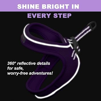 Cat Harness and Leash Set,Escape Proof Kitten Harness,Step in Adjustable Soft Lightweight,Easy Control,Reflective Strips Comfortable for Walking Travel(Purple,S)