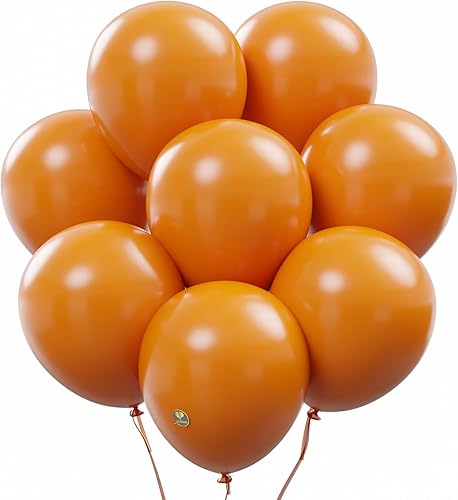Miniatura 10 de AFTERLOON Globos biodegradables, 72 unidades, color rojo ladrillo de 10 pulgadas, color mate grueso extra fuerte, flotador de helio, para baby