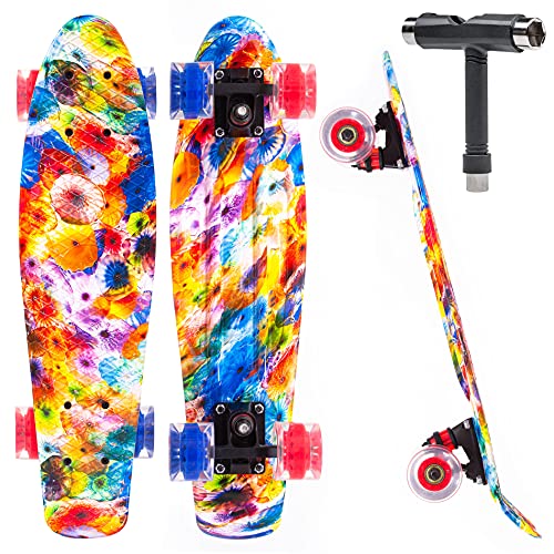 Best Mini Cruiser Reviews and Buying Guide 2022 BNB