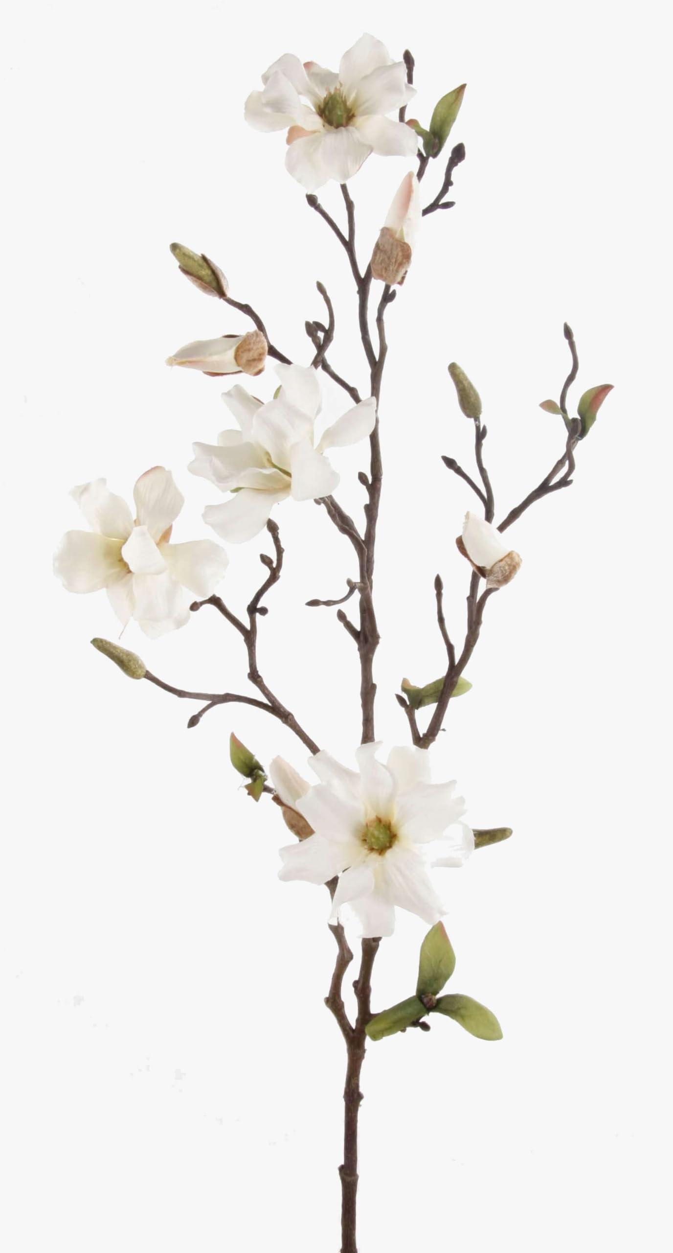 artplants.de Decorative Magnolia spray LILO, 4 blooms, buds, cream - white, 30"/75cm - Silk flower magnolia/Artificial flower