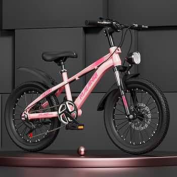 子供用自転車24インチ 7173lyE5aBL._AC_SY200_QL15_.jpg