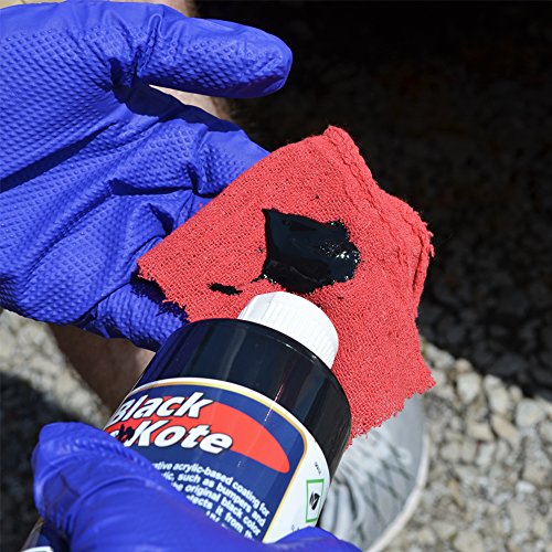 Detail King Trim Kote - Black - 16Oz - Long-Lasting Restoration - For Use On Grainy, Black Plastic & Vinyl Trim On Your Vehicle's Exterior #TOP1