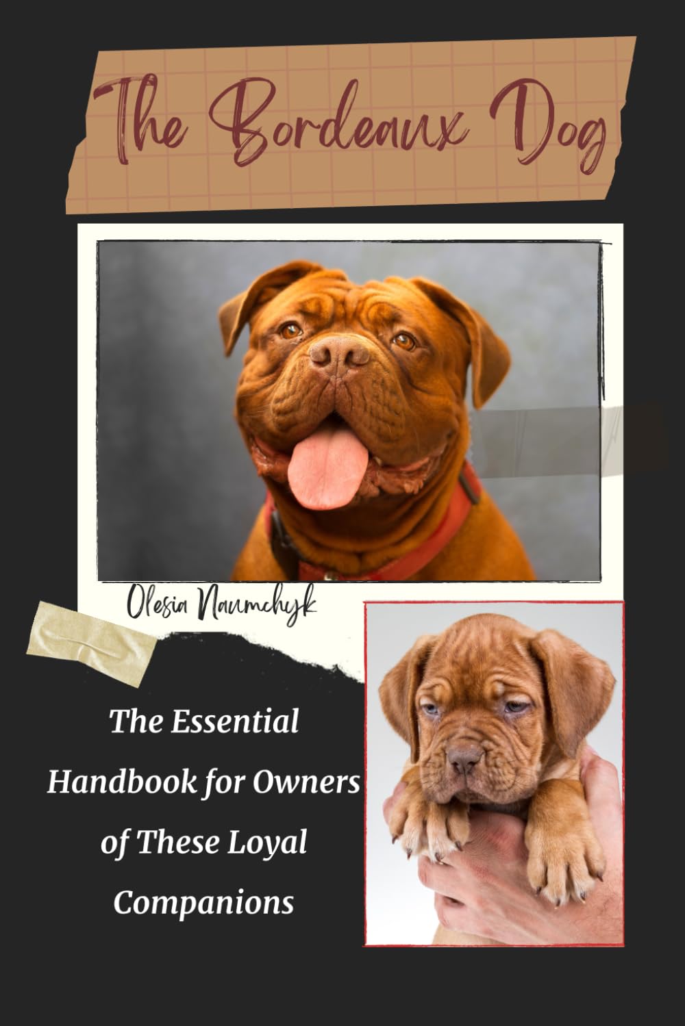 The Bordeaux Dog: The Essential Handbook for Owners of These Loyal Companions