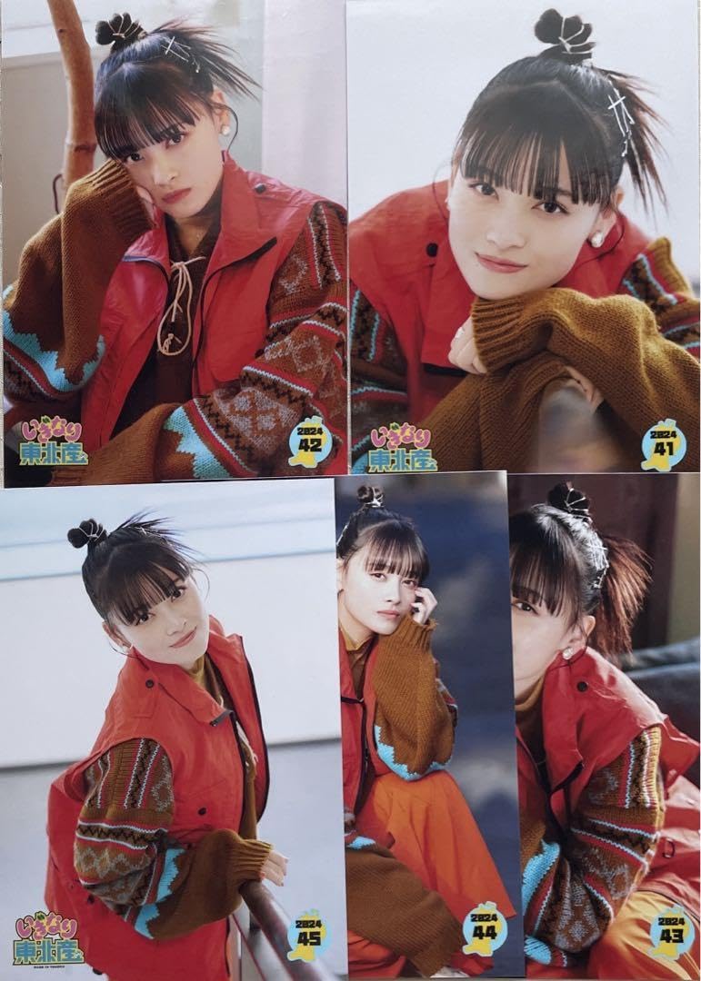いぎなり東北産　生写真　コンプリートセット いぎなり東北ファン倶楽部限定 いぎなり生写真 受注販売開始の