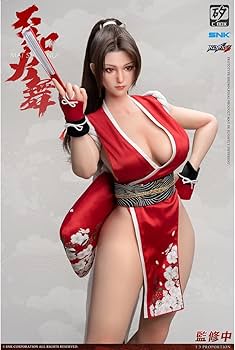 Amazon.co.jp: [HiPlay] 矽博士C-BOX 1/3 不知火 舞 CB-8601 可動