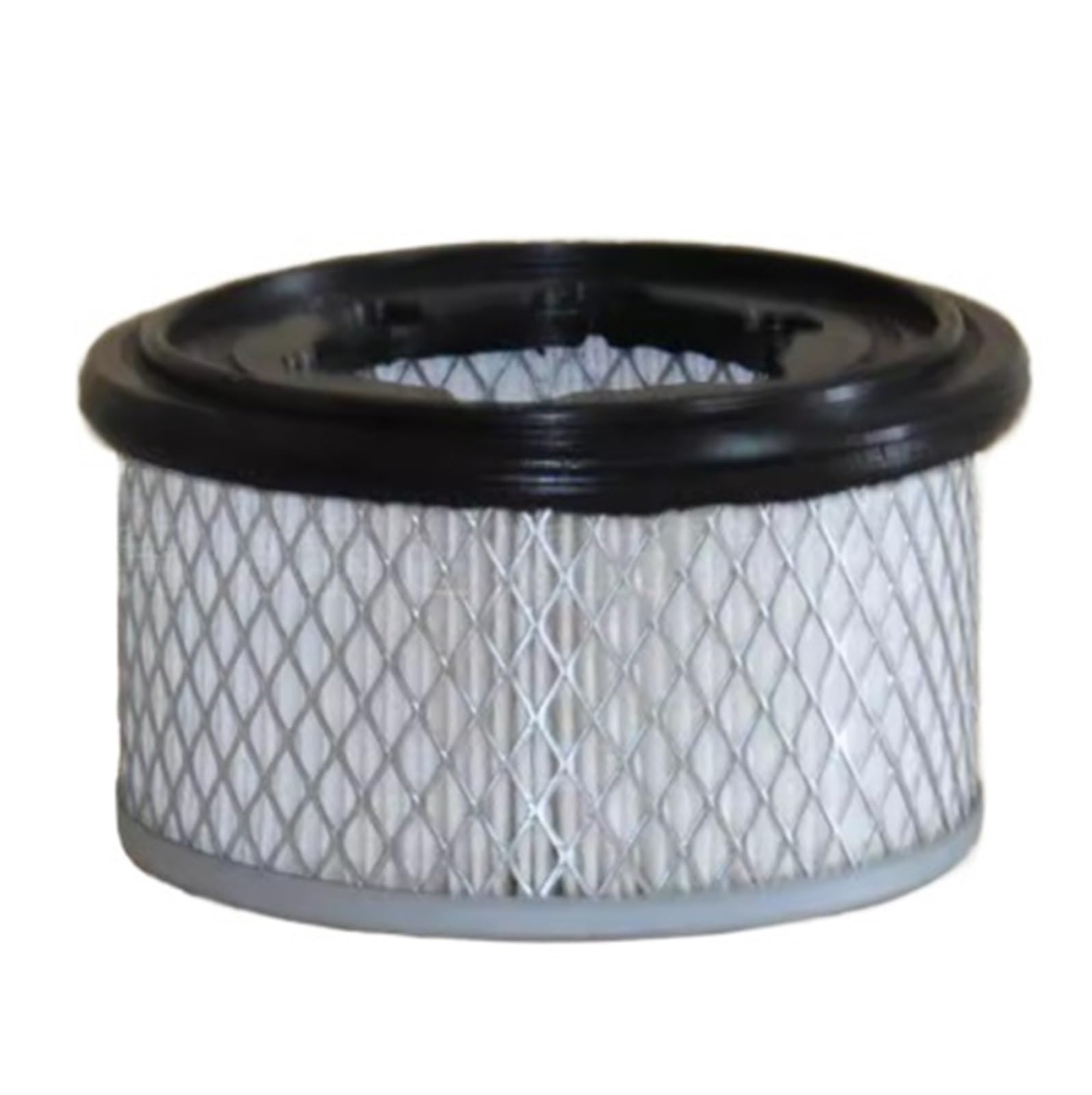 Tscfhgqi One Color Air Filter Cartridge Ed0021753060-S 2175.306
