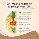 Manna Millets 5.25Kg Whole Grains, Combo Pack of 5, Foxtail, Kodo, Little, Barnyard, Proso, Certified Low GI, Unpolished Natural Grains 520g (Pack of 10) gallery image