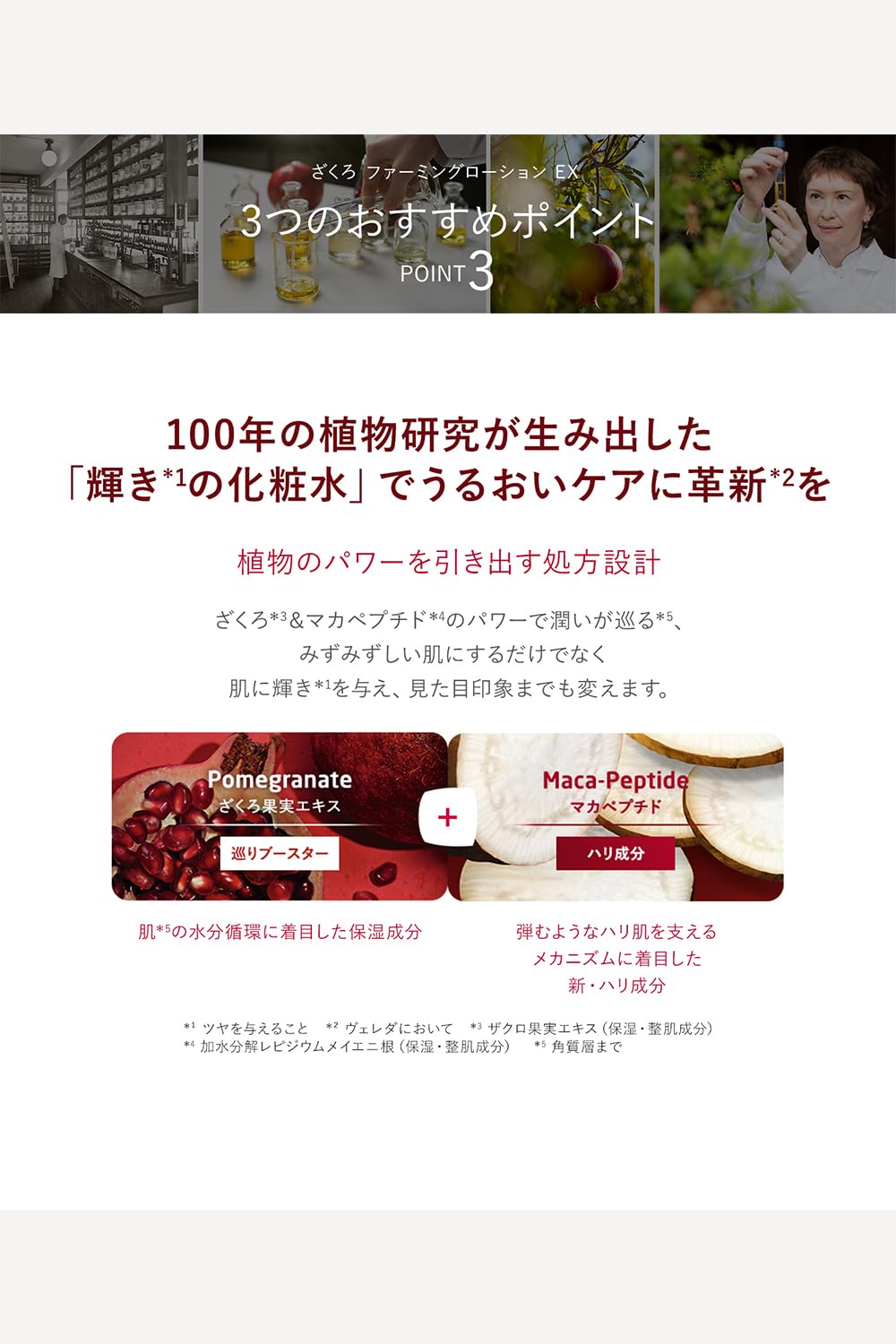 Amazon.co.jp: WELEDA（ヴェレダ）: クレンジング・化粧水