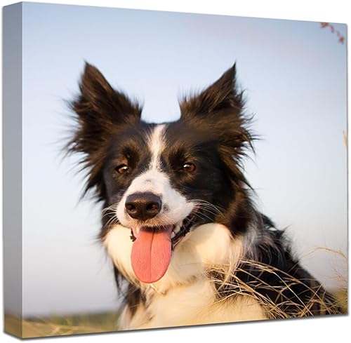 Impresiones en lienzo personalizadas con tus fotos enmarcadas, impresiones de fotos de Tienda, imágenes personalizadas, arte de pared en lienzo para disponible en Yaxa Peru