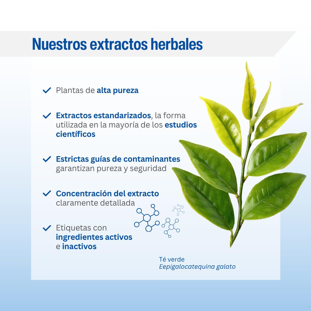 Lamberts Multi-Guard® | 90 Tabletas | Apto para Veganos | Sin Gluten | Sin OGM | 28 Nutrientes + Extractos ORAC | Vitamina D3 Vegetal | Una al Día para Adultos | Calidad Farmacéutica GMP