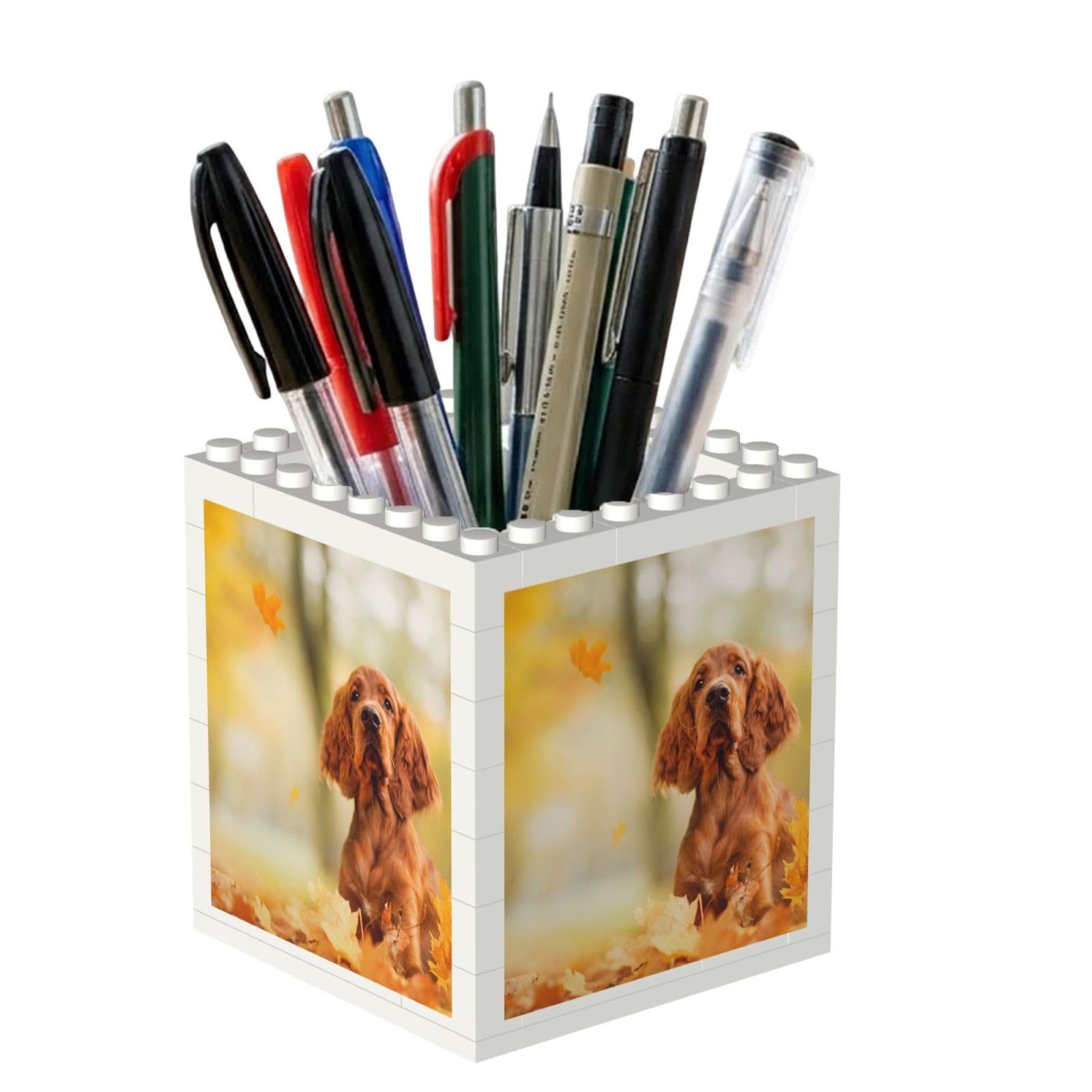 Poadnly Cocker Spaniel Autumn Park Brown Spaniel Dogs, Pen Pot Pencil Holder for Office Home School, Compact Desk Organiser for Office Stationery