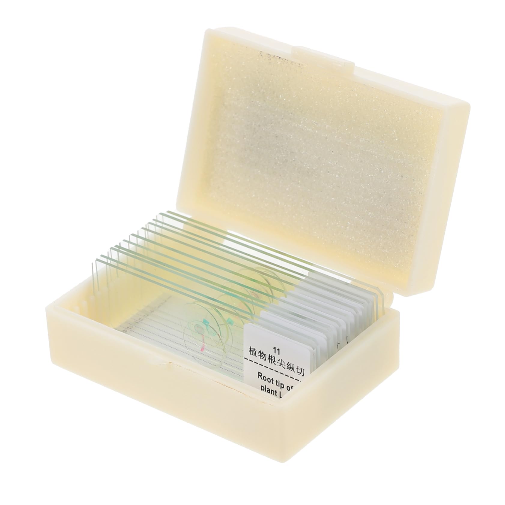 KICHOUSE 1 Set Glass Slide Bioexperiment Slides Microscope for Zoa Microscope Slides Lab Microscope Slide Sample Slides for Microscope Slides Specimens Slides Object Slides