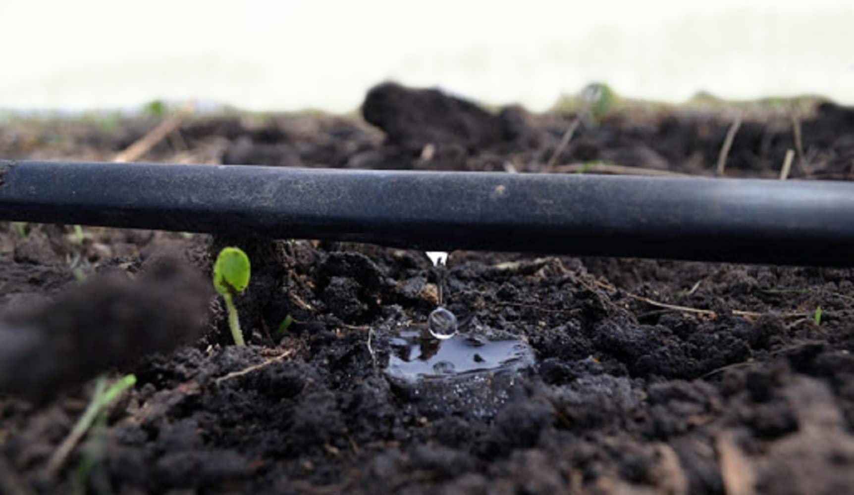MUGAR- Manguera de riego por goteo. Tubo de goteo de polietileno de 400 metros y 16 milímetros con goteros cada 40 centímetros, para agricultura y jardines particulares.