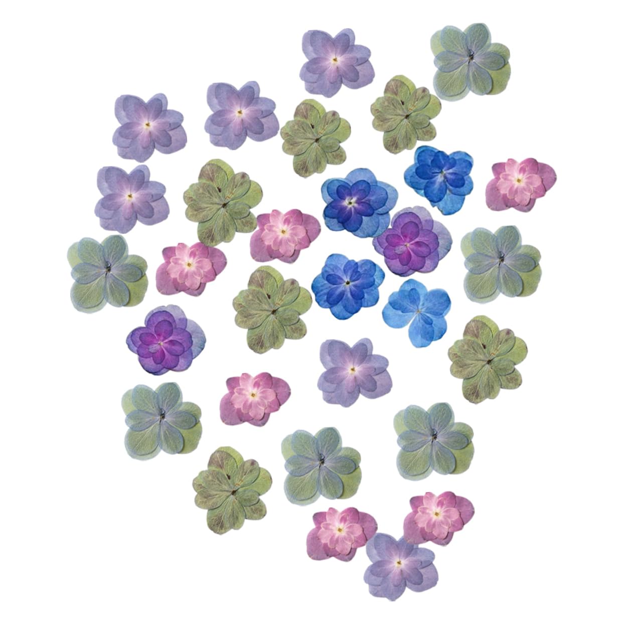 Zerodeko 5 Sätze Gepresste Ausstecher Mit Prägung Prägeausstecher Gefälschte Blumen Getrocknete Blumenarrangements Kleine Trockenblumen Für Harz Blumen Für Harzformen 30 Stück * 5