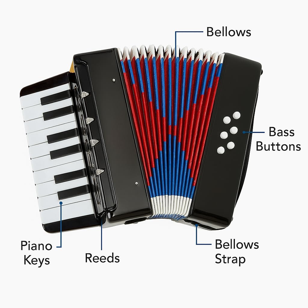 Mini Accordion 17 Key Piano Small Accordion 8 Bass with Straps Beginner Educational Musical Instrument Developmet Hand Keyboard Rhythm Training Instrument for Beginner