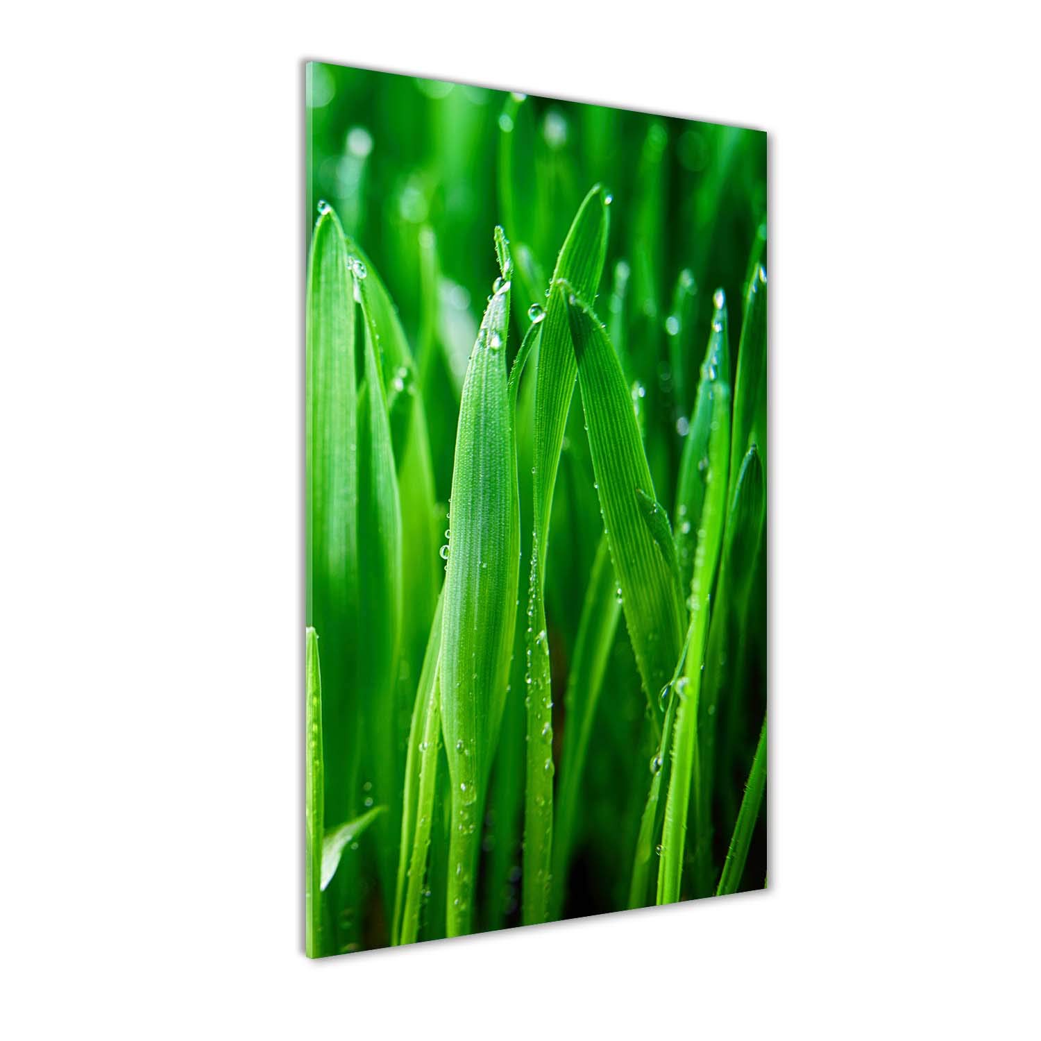 Tableau en verre 60x120 cm de qualité supérieure motif végétal panoramique par Tulup