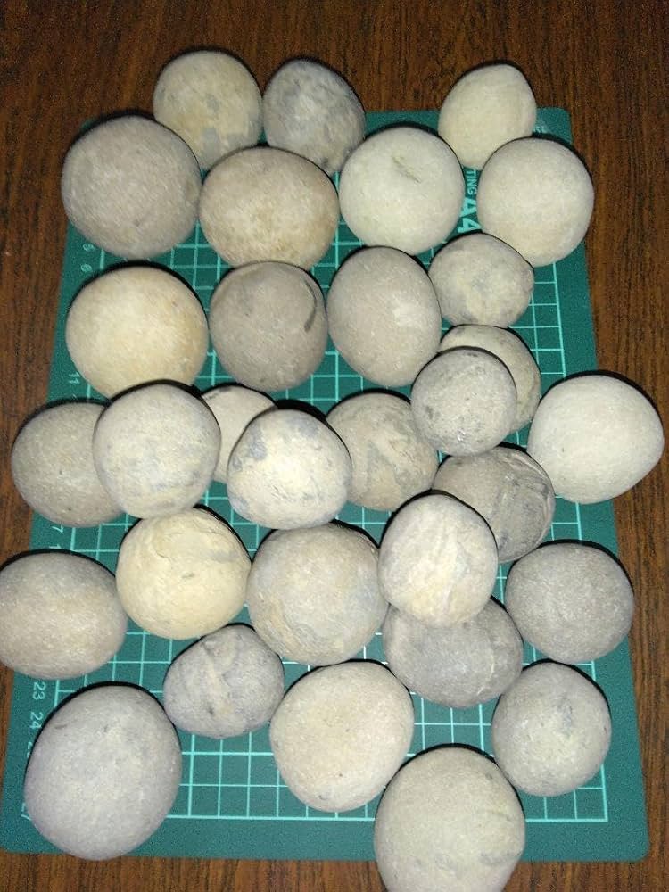 恐竜の卵？ 鉄丸石？ ノジュール 化石 鑑賞石 恐竜の卵？ 鉄丸石？ ノジュール 化石 鑑賞石