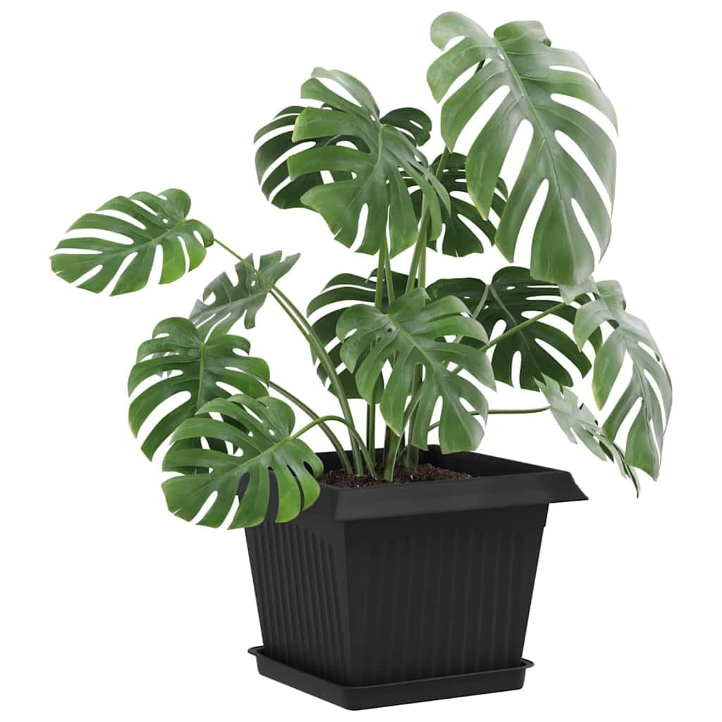 6er Set Blumentöpfe Schwarz 23 x 23 x 17,5 cm Kunststoff eckig | Robuste, quadratische Pflanztöpfe mit Entwässerungslöchern für den Garten und Balkon.