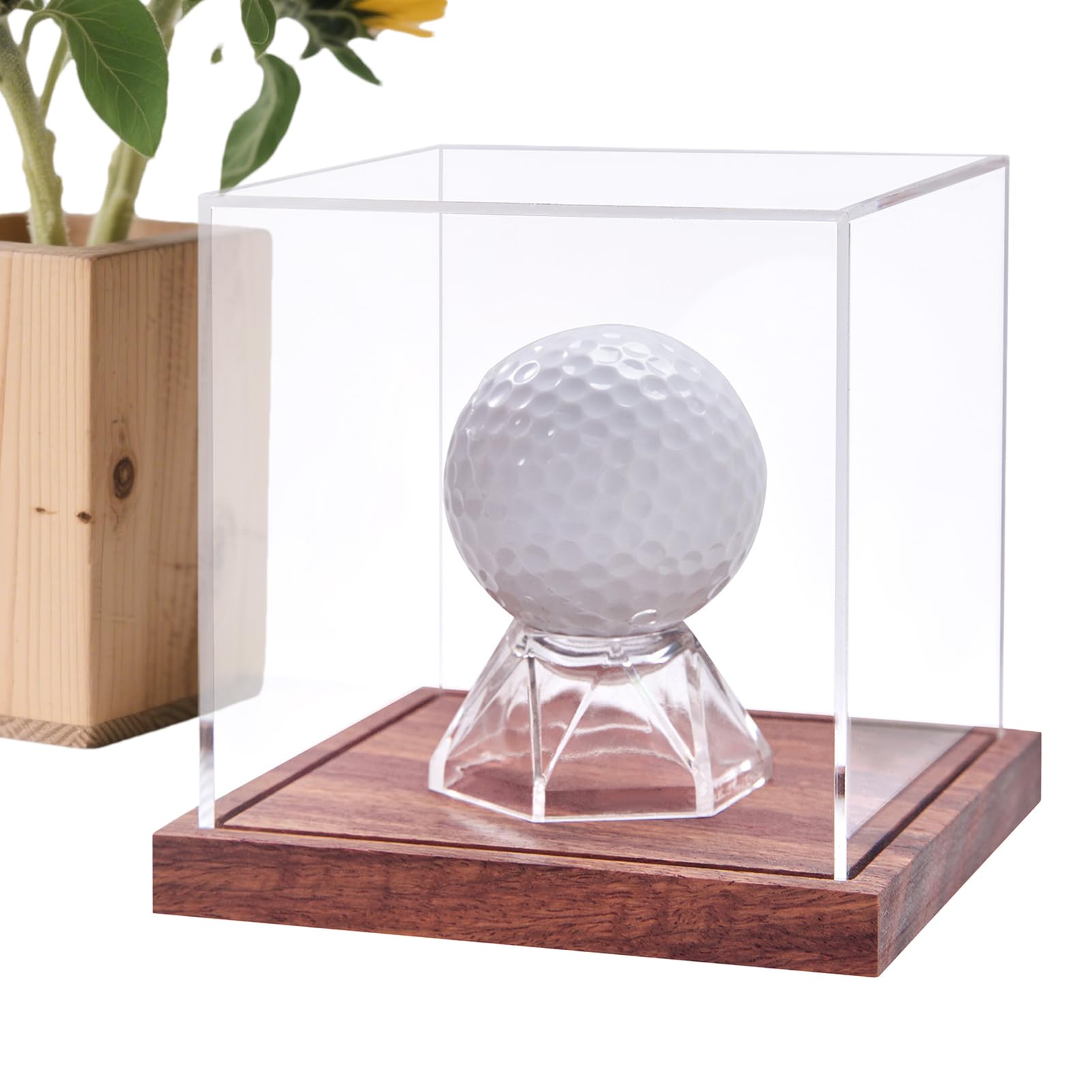 Estuche para Bolas de Golf,Caja Expositora De Bolas De Golf con Soporte De Madera | Estuche Protector para Trofeos A Prueba De Polvo Accesorios Deportivos