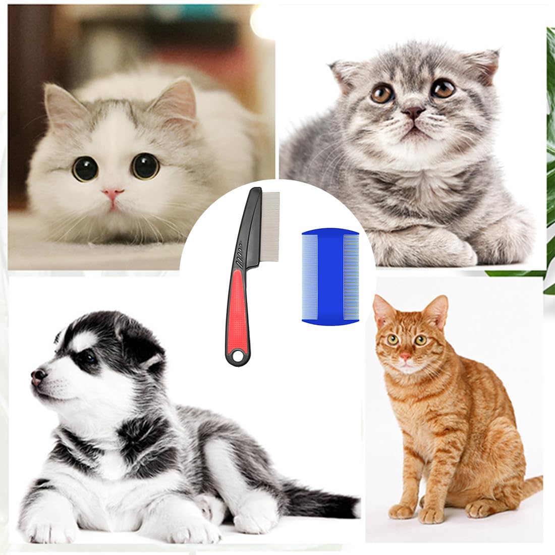2 PCS Peigne Anti puces, Set de Peignes Anti puces pour Chats et Chiens, Peigne de toilettage pour Animaux Outil d'épilation, Chien Peigne de toilettage