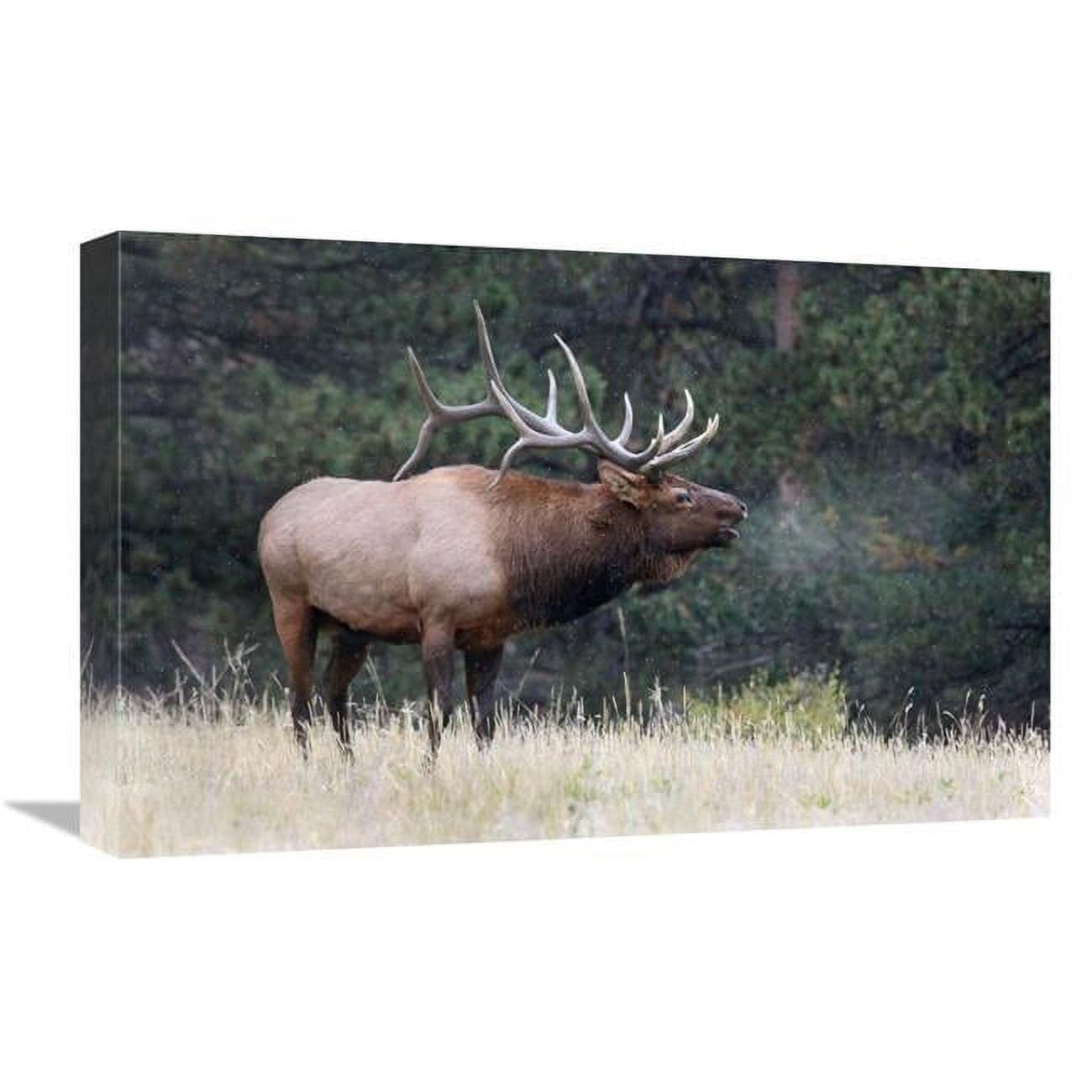 22 in. Light Snow Falling Art Print - Vic Schendel