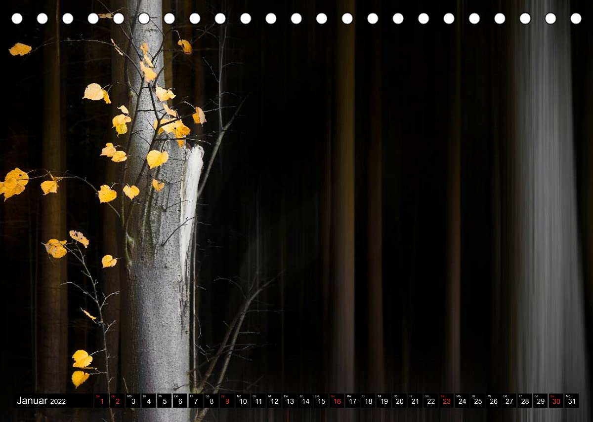 Zauberhafter Sachsenwald (Tischkalender 2022 DIN A5 quer): Impressionen aus dem Sachsenwald (Monatskalender, 14 Seiten ) (CALVENDO Natur)