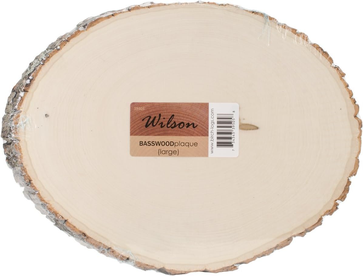 Basswood Round/Oval Plaque - Bulk Quantity Value Box Wood Slices, Large 9-11" D (Pack of 10)
