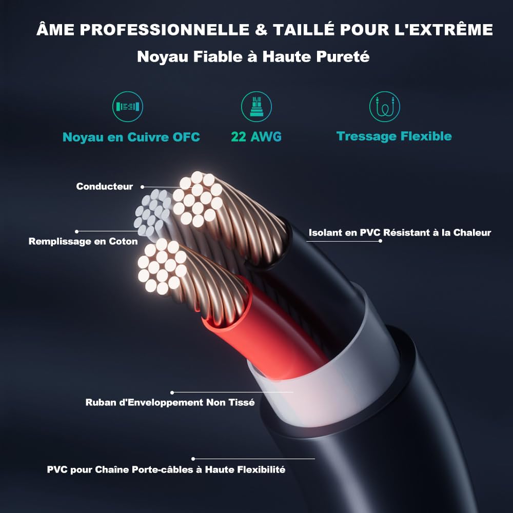 Alvin's Cables BMPCC 4K 6K vers D Tap Câble d'alimentation pour Blackmagic Pocket Cinema Camera 4K Gold Mount V-Mount Batterie Weipu 2 Broches Femelle vers P-Tap