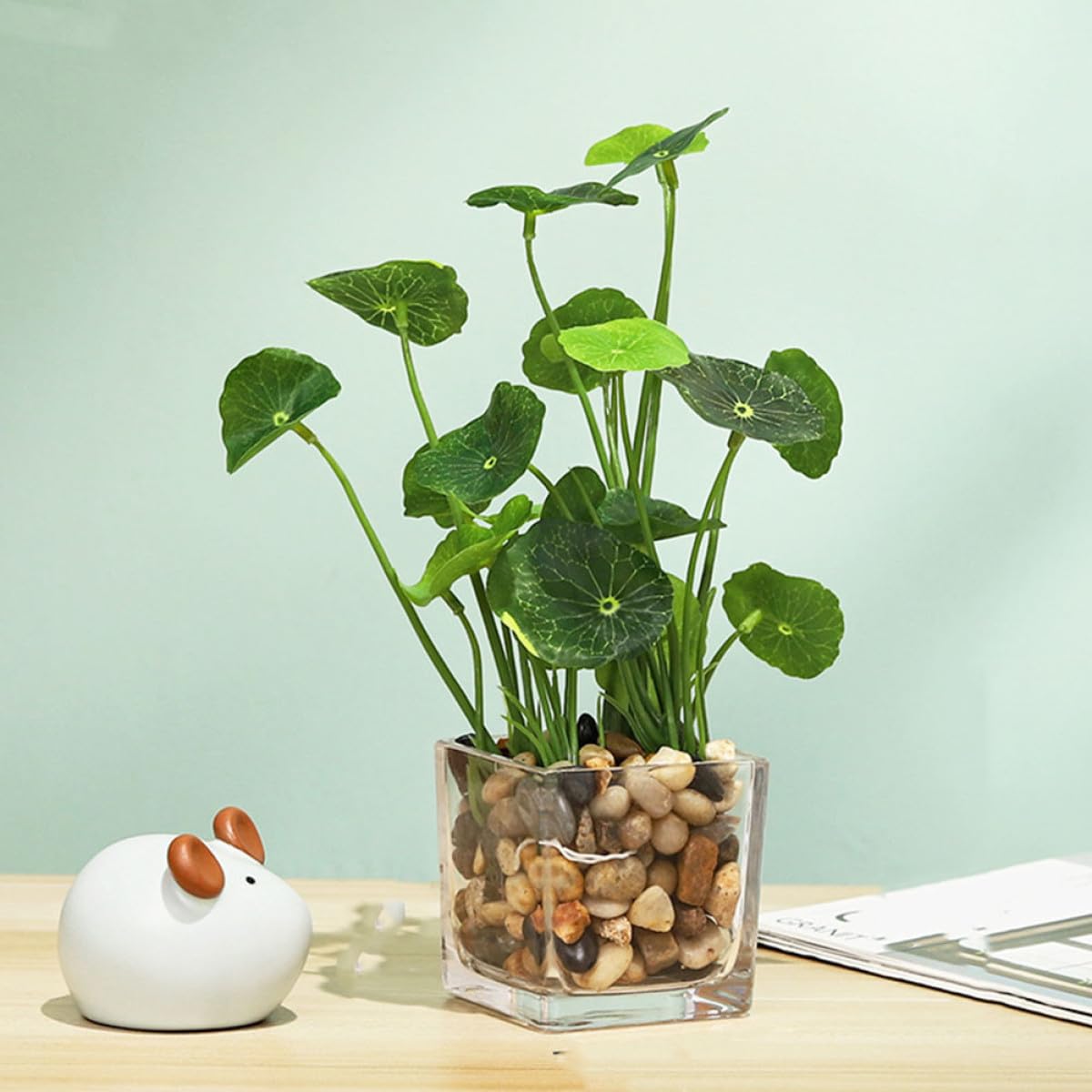 SEWACC Petite Plante Artificielle Bonsaï en Pot, Vert, Céramique | Ornement de Simulation, Salon et Bureau, sans Arrosage ni Entretien, Usage Quotidien