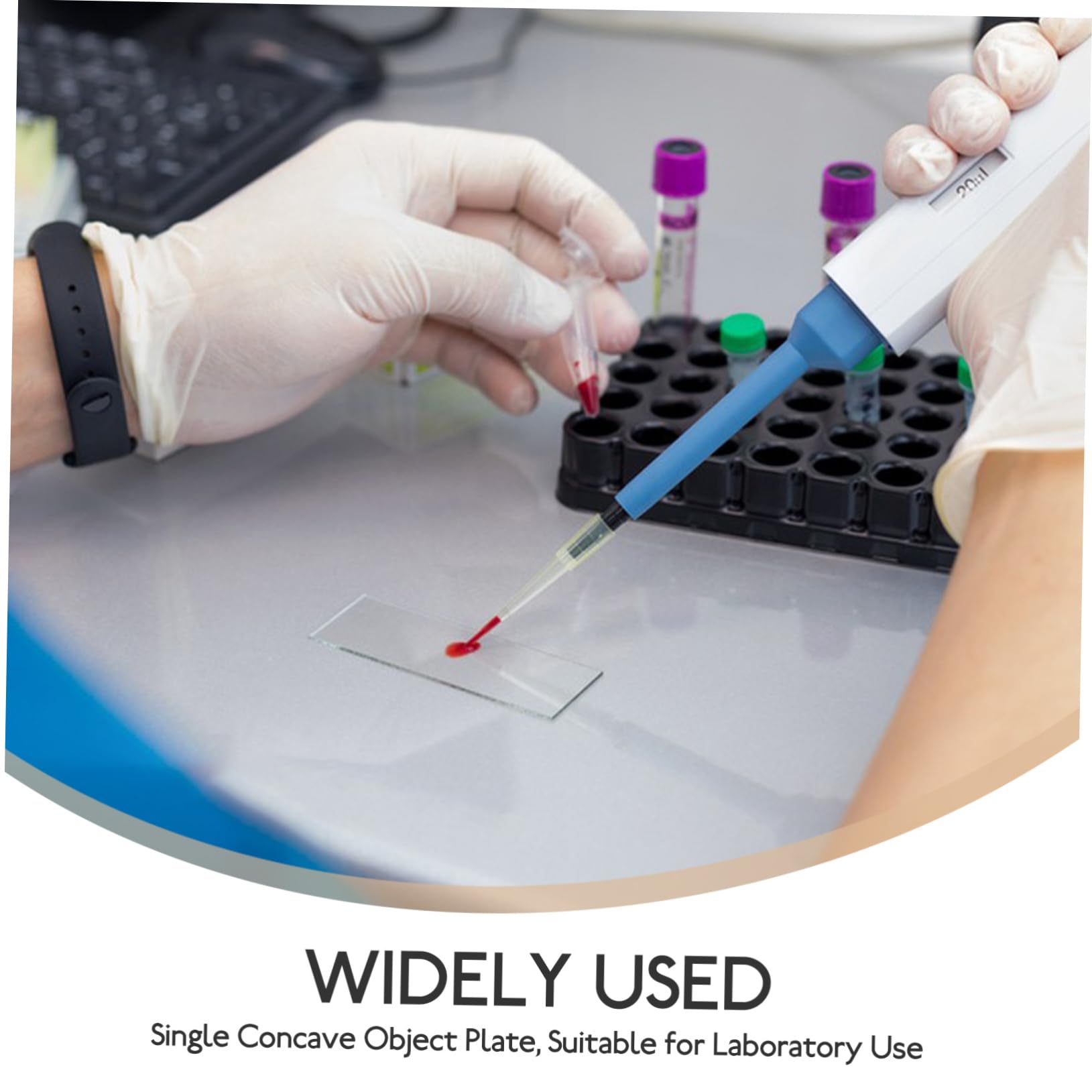 CHILDWEET 50pcs Glass Slide Microscopy Slides Microscope Slides Blank Microscope Accessories Blank Glass Microscope Slides Microscopic Slides Lab Microscope Slides Laboratory Slides