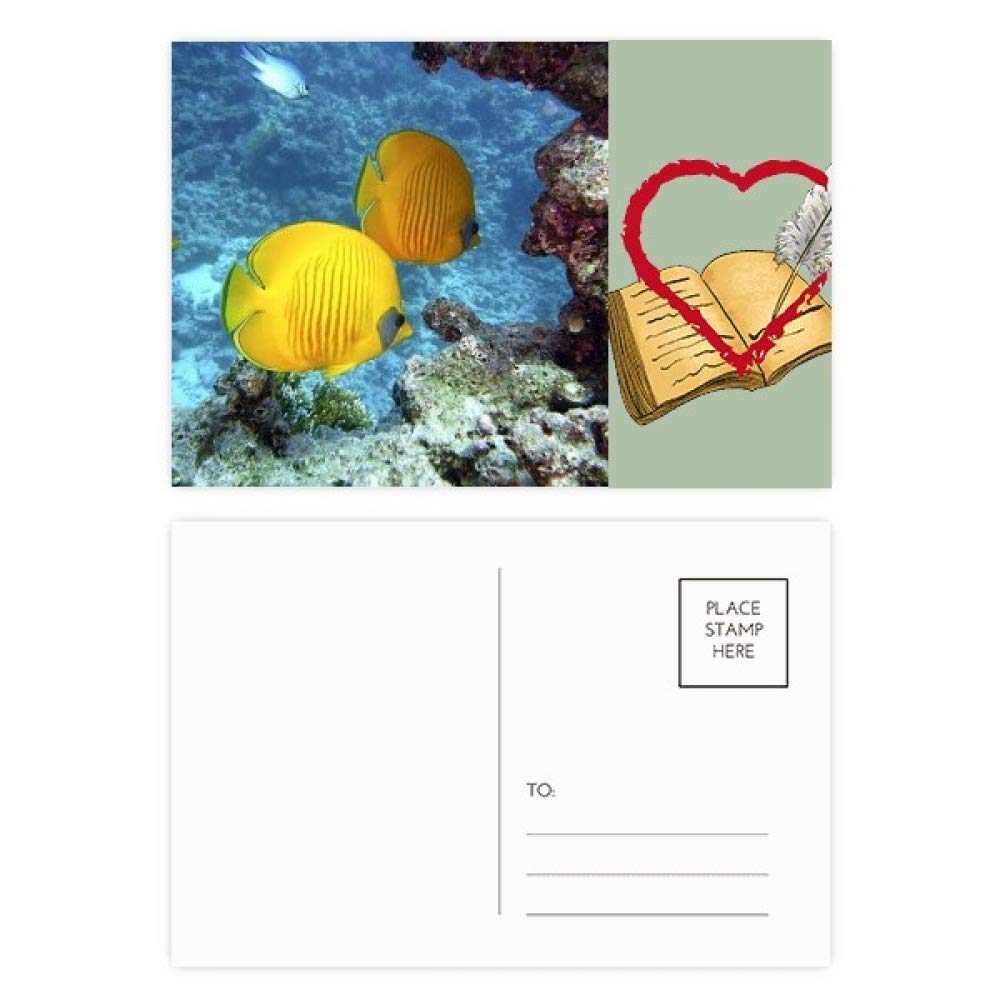 Ocean Water Fish Nature Lot de 20 cartes postales de remerciement Motif poissons
