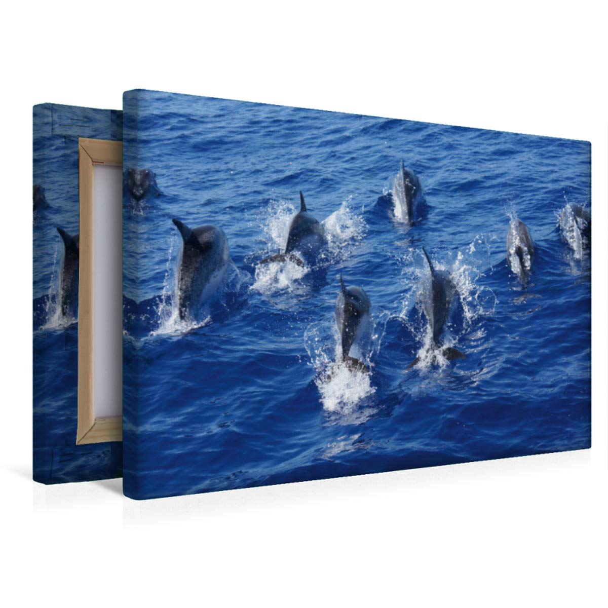 CALVENDO Madeira 2019 - Familienplaner hoch