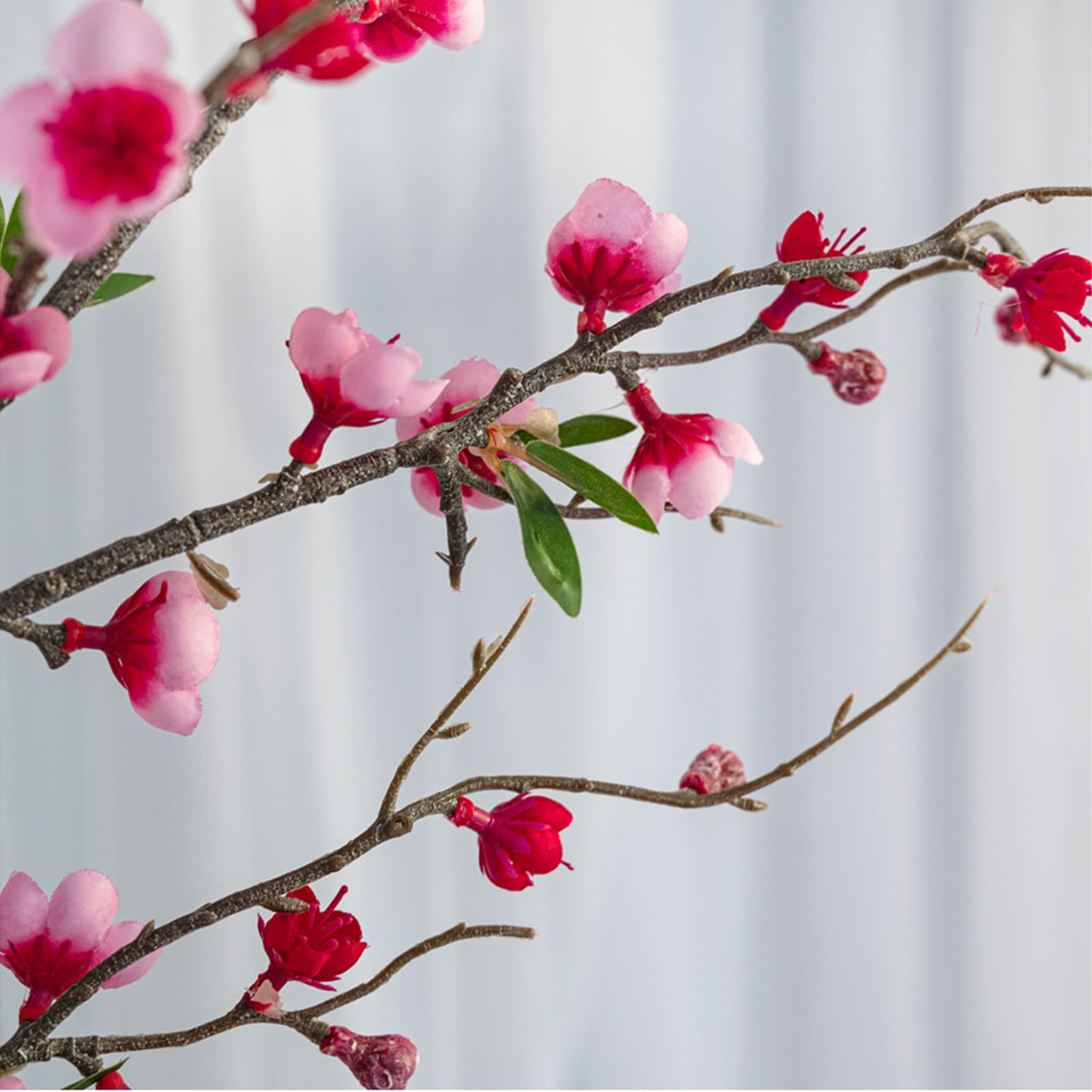 De kersenbloesem bloem - kijkt naar je kersenbloesem bloemen voor mooie