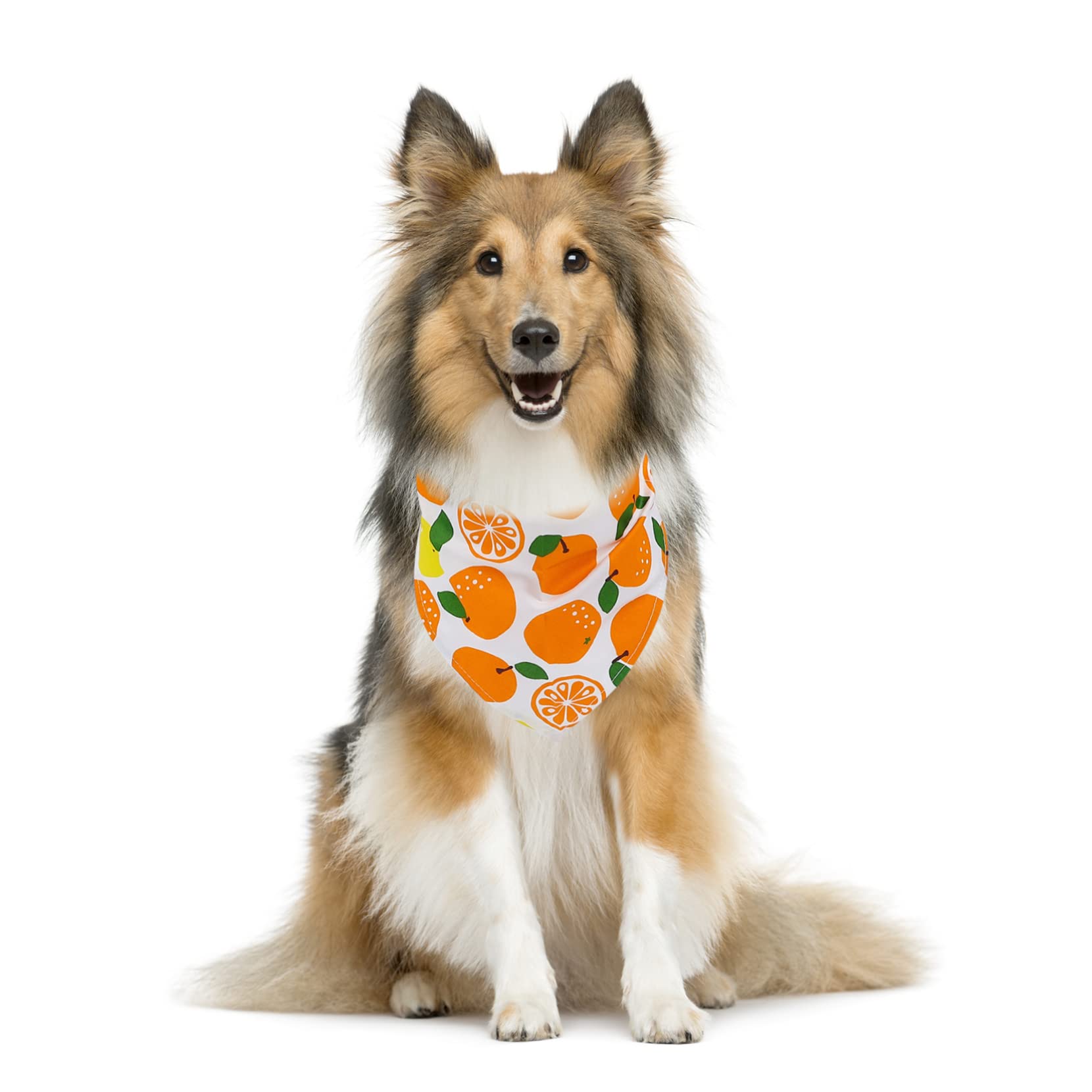 Toddmomy 15pièces Bandanas pour Chiens Et De Écharpes à Motifs Accessoire pour Animaux Prévient Éclaboussures De Nourriture Confortable Et Respirant pour Toutes Occasions