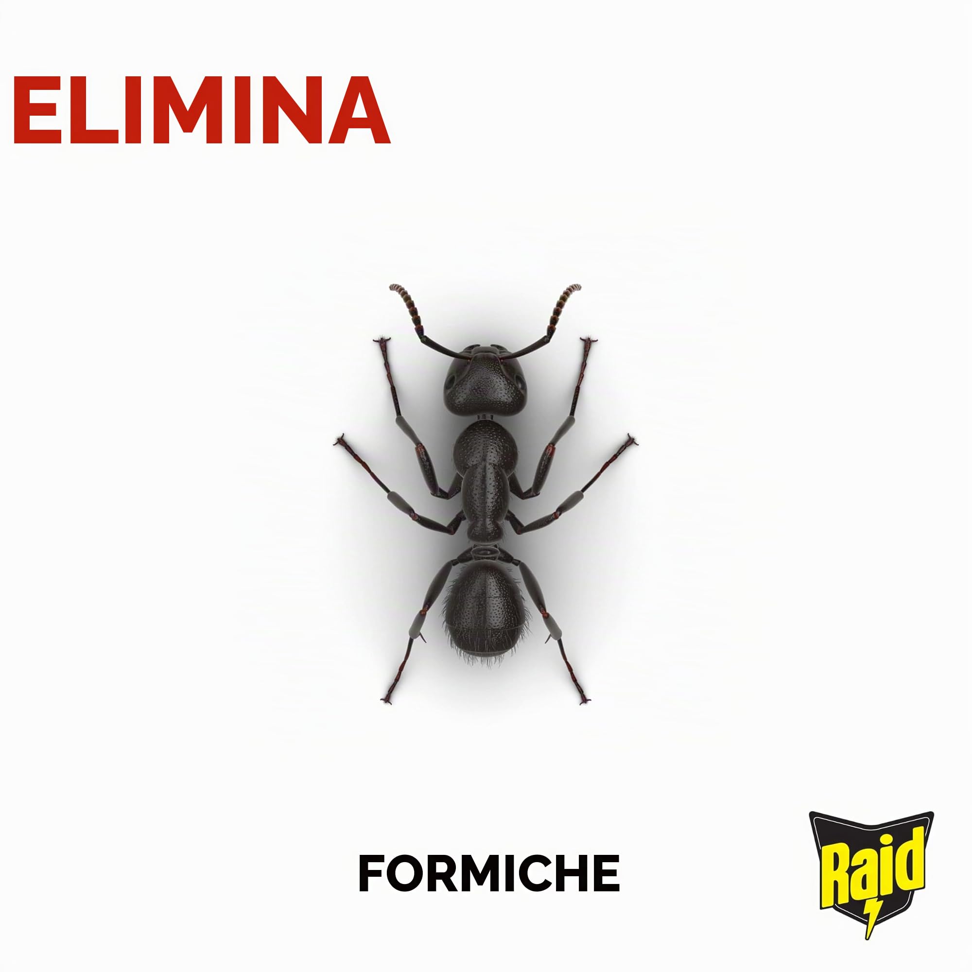 Raid Esca per formiche, a lunga durata, per interni ed esterni, distrugge i nidi, confezione da 12