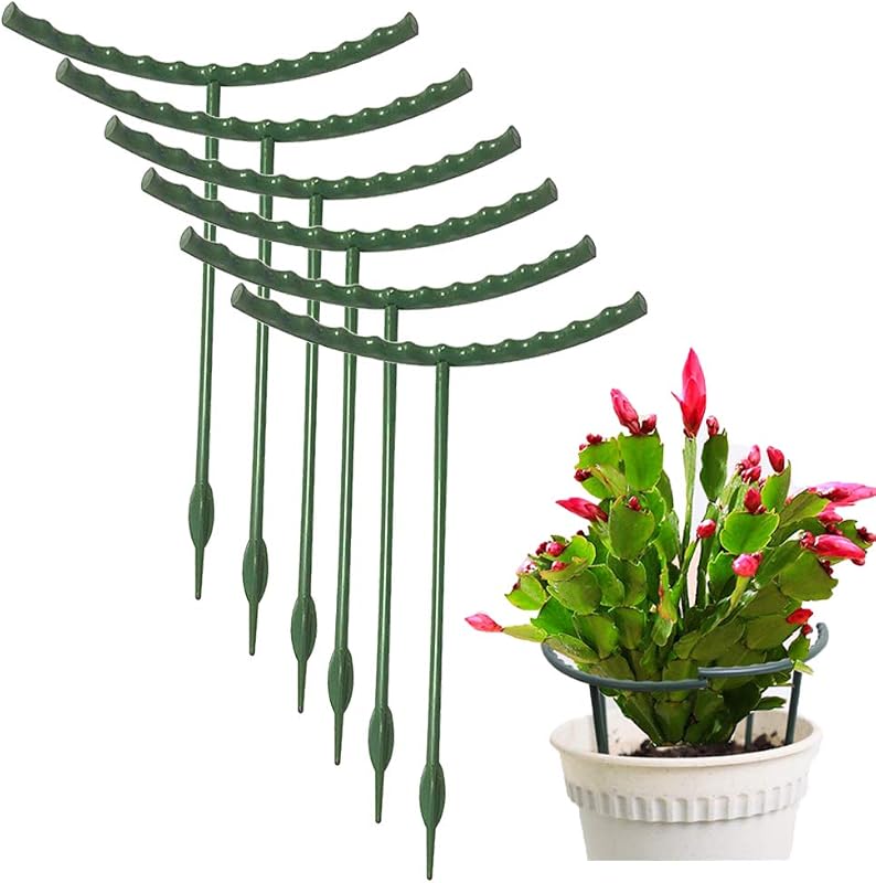 Mwellewm Plant Stakes Small Plant Supports for Indoor Plants Holder Sticks | 10 Pcs Half Round, Plant Rings, Plastic Cage, Short Stem, Flower Pot Climbing Trellis,for House Vegetable Outdoor 5.7x9.8Inch