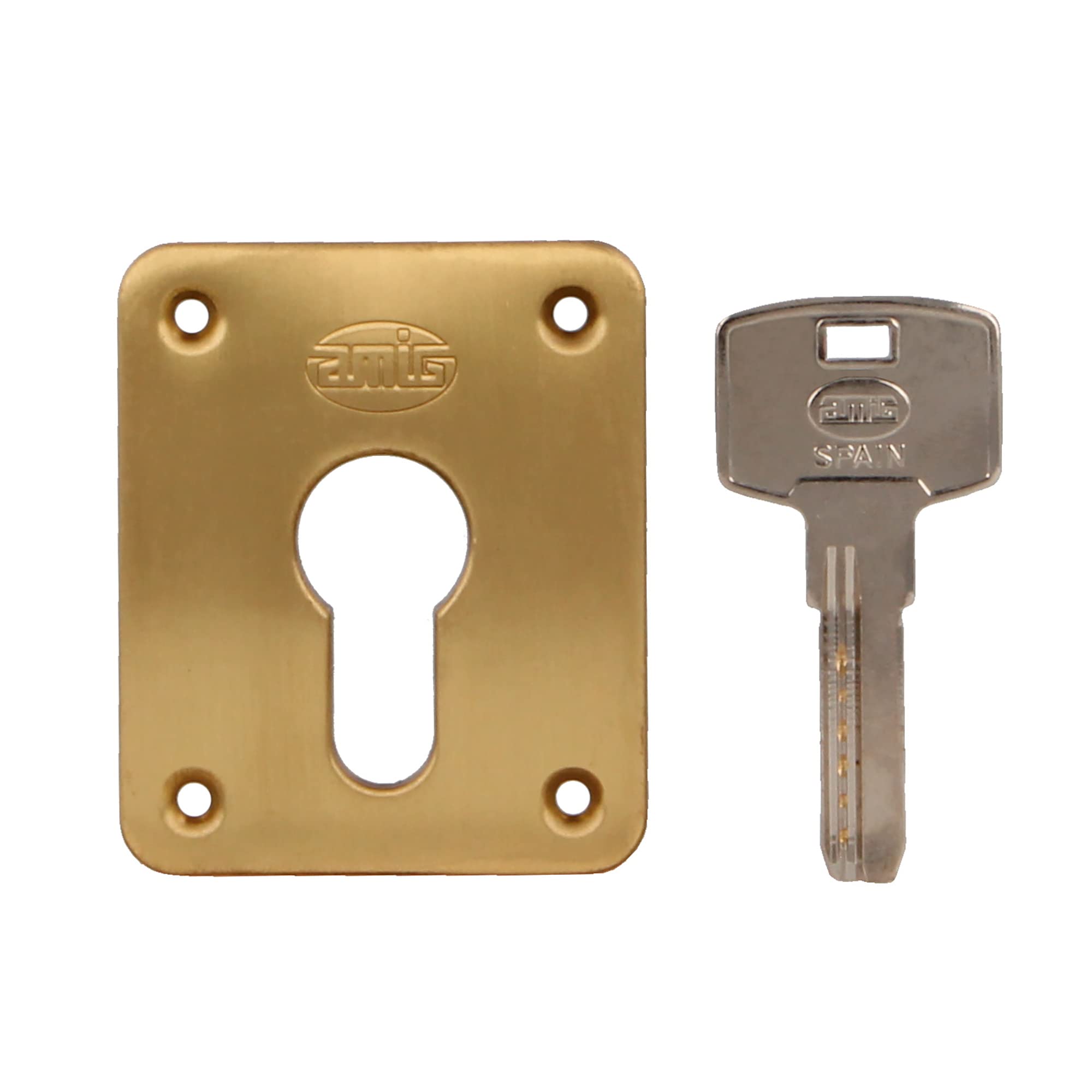 Amig - Verrou de suralimentation droite avec levier de fermeture, languette et poignée pour porte en bois Mod. 73 | 100 x 85 mm | Loquet avec cylindre Europrofilé | Acier doré