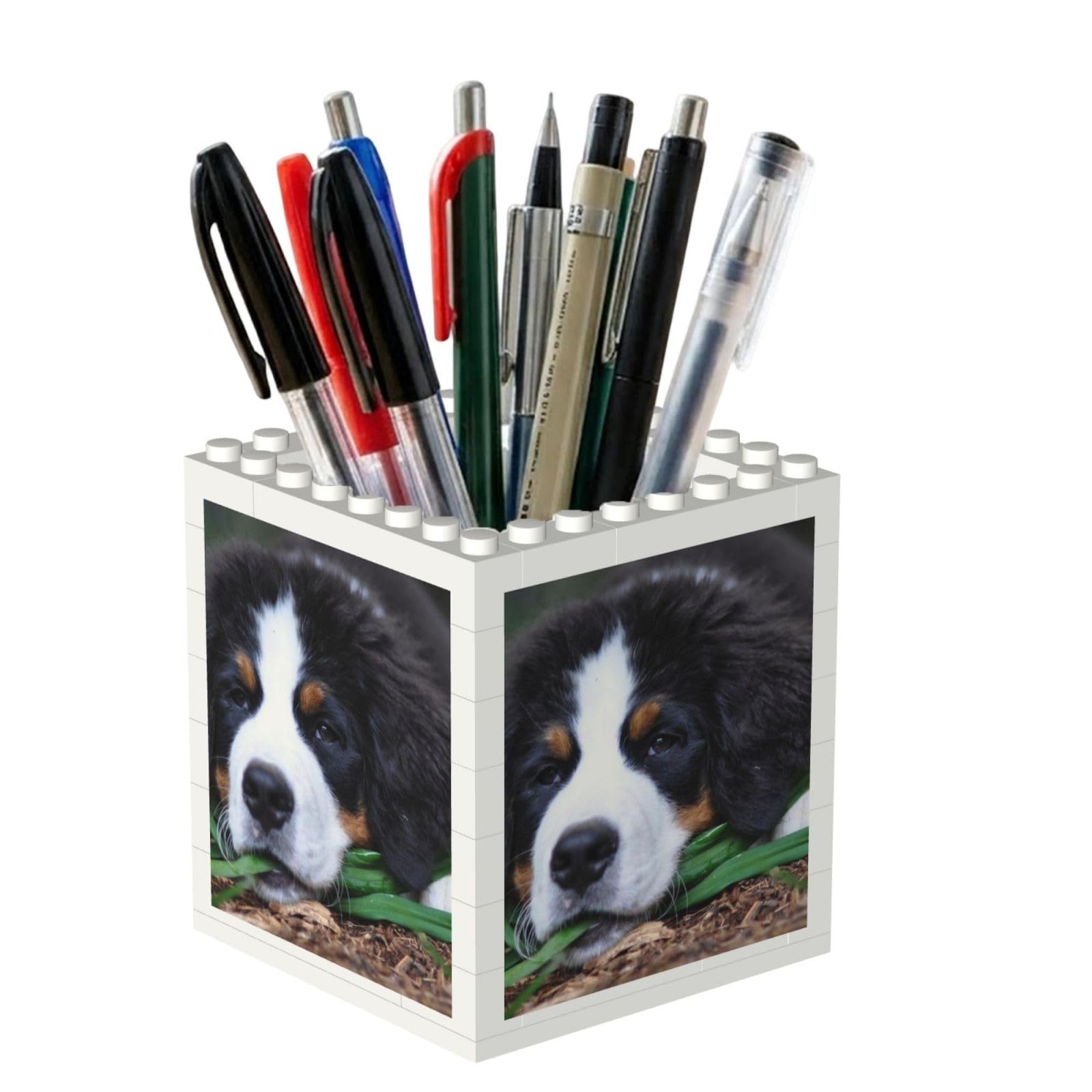 Poadnly Lovely Bernese Mountain Dog, Pen Pot Pencil Holder for Office Home School, Compact Desk Organiser for Office Stationery