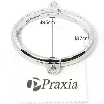 Amazon | Praxia 南京錠付き 金属製 手枷 (大) 【オリジナルアイ