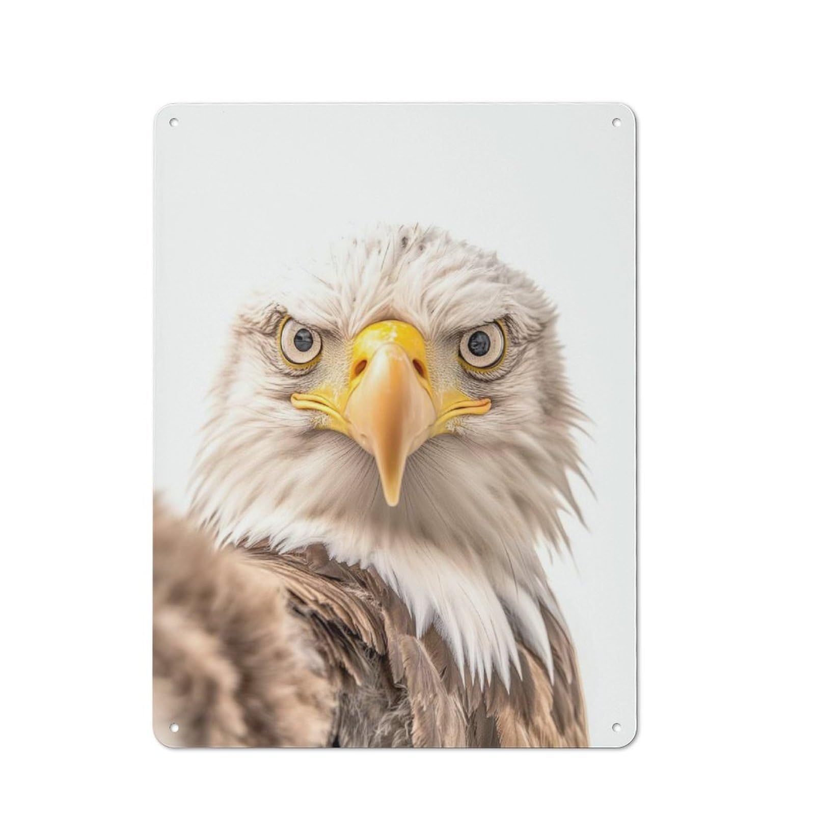 Bald Eagle Selfie Industrial Metal Sign 40x30cm, Clean Industrial Loft Wall Plaque for Modern Home, Workshop, Office Or Cafe